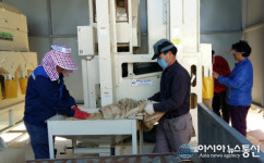 창원농기계임대사업소, 콩 수확철 맞아 콩 정선 작업장 운영