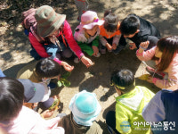 울진 마을교육공동체 원아들 금강송숲길 품다