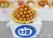 ‘천안대표 특산물’ 성환배축제, 3000여 시민과 함께 성료