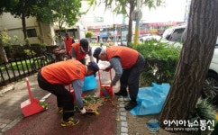 중구 태평2동, 은행나무 열매 채취 기동반 운영