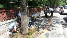 진해구 여좌동, 사람과 함께하는 자연친화적 건강한 마을 만들기