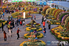 마산가고파국화축제, 사람이 꽃보다 많아