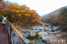 산청군 삼장면 대원사 계곡 생태탐방로 15일 개통식