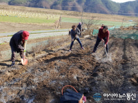 합천 청덕면, 산림연접지 인화물질 사전제거 작업
