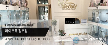 김포애견분양 브랜드 라이프독, 다양한 자견 분양받을 수 있는 안심분양으로 소비자 만족도 높아