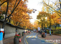 덕수궁 돌담길 한번에 걷는다…7일 전 구간 개방