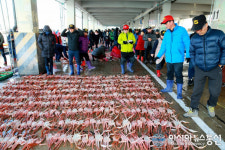 명품 울진대게 첫 경매...2995만원 어획고
