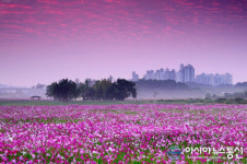 수원시, 27일 당수동 시민농장 추억 행사 마련