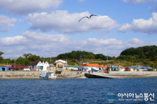 보령시, 효자도와 호도에 2년간 157억원 투입