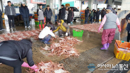 죽변항 대게 어획고 지난해 比 감소...국내 시장경기 침체 영향