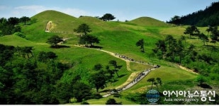 가야고분군 세계유산등재추진단 경북에 설치