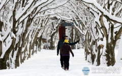 정읍시 내장산, 꼭 가봐야 할 한국관광 100선 선정