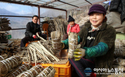 함양 장철안 씨, 천연 항노화 식품 ‘옻 껍질 벗겨요!’