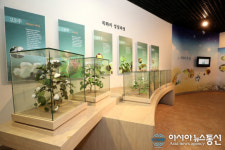 산청군, 대한민국 첫 목화 재배지 무료로 관람하세요