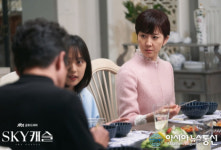 지디알스카이캐슬 | '스카이 캐슬(Sky 캐슬)', 소름 돋는 시청자들의 '스포'..."이정도면 탐정들" 인기도 Sky 급