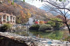 금산산림문화타운, 산림복지서비스 이용 시스템 정비