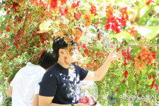 단양에서 귀농·귀촌 새로운 인생을