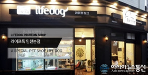 인천애견분양 라이프독 인천점, 세심한 자견돌봄시스템과 라이프케어, 메디케어로 사후 A/S 책임