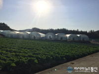 진도군, 원예·특작분야 지원사업 신청 접수