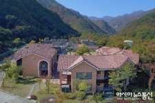 동해시, 동해무릉건강숲 이용객 해마다 증가