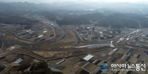 금산군 제원면, 강변 고수부지. 뚝길에 꽃길 조성