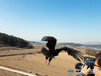 충북지역 야생동물 구조.치료 협업