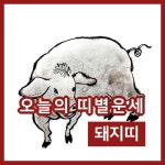 [오늘의 운세] 29일 돼지띠 행운의 숫자는 뭘까?