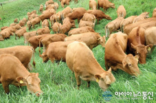 홍성군, 스마트팜 바탕으로 ‘친환경 축산’ 롤모델 만든다