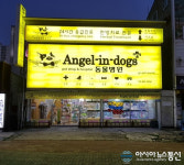 울산 애견분양 엔젤인독스, 강아지분양 특별 설맞이 이벤트 진행