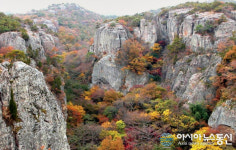 고창군, 선운산도립공원 주차료 전면 면제