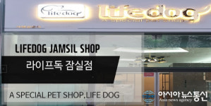 송파ㆍ잠실 애견분양브랜드 라이프독 잠실점, 다양하고 건강한 품종 자견 보유해 믿고 분양받을 수 있는 곳