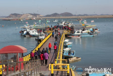 바다 위에서 즉석 회 떠먹고 싶다면? 서산 삼길포항 가는 법 및 가격 궁금해…1999년 국가 어항으로 지정돼