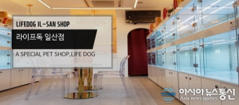 파주, 일산애견분양샵 라이프독 일산점, 높은 고객만족도 위해 믿을 수 있는 자견케어시스템 완비해
