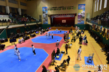 창녕서, 제10회 아시아 청소년 태권도 선수권 최종 선발 대회
