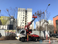 대전방문의 해 맞아 아름다운 가로수길 조성