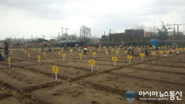 진주시, 시민텃밭 신청 접수