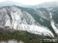 제천시, 명품숲 조성 시유림 벌채 적극 추진