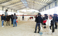 대전시설公 복용승마장, 승마 콘텐츠 개발로 대전 알려