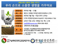 제천시 강제동 도시텃밭 분양해요