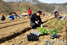 세종시, 11일부터 주말농장 정원형텃밭 분양신청 접수