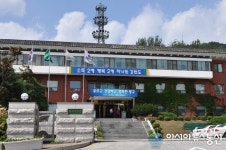 양구군, 양구군청 육상팀 창단