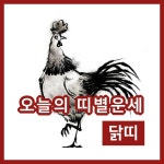 [오늘의 운세] 7일 닭띠 행운의 숫자와 일별운세...