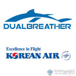 듀얼브레서 스노쿨링 마스크, 대한항공 모닝캄 회원 사은품 납품