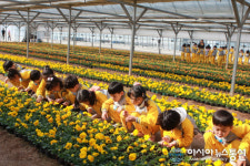 강진군, 아기 천사들의 봄꽃 나들이