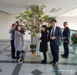 밀양시청 내 두드林 소통나무 설치, 조직 내부 소통에 주력 -