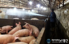 홍성군, 아프리카돼지열병(ASF) 전염차단 비상