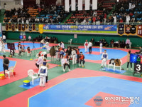 영천시, 2019 전국종별태권도선수권대회 개최