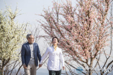 에버랜드, 하늘매화길 29일 오픈...은은한 매화 향기에 봄을 담다!