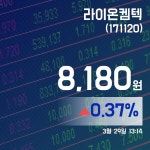 (국내주식시장주가) 29일 라이온켐텍증시현황 8,180원