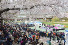 부산 연제구, 연제문화원, 2019년 봄 문화예술축제 개최
